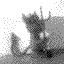 daemon-profile-2.gif