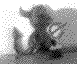 daemon-side-4.gif